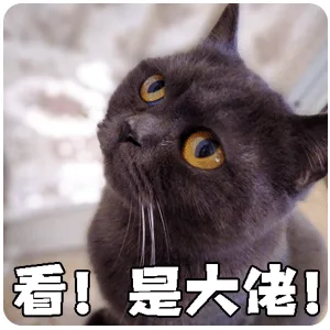 看是大佬！（看是大佬！）