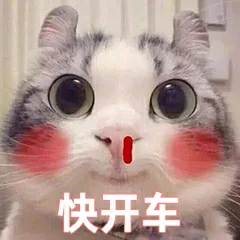 快开车（快开车）