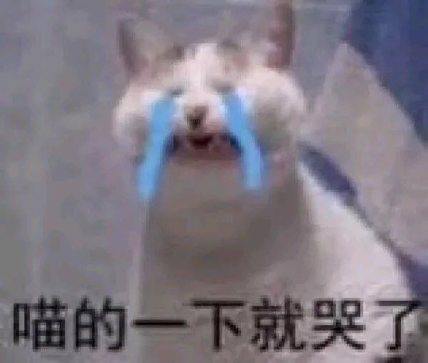 喵的一下就哭（喵的一下就哭）