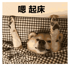 嗯，起床（嗯，起床）