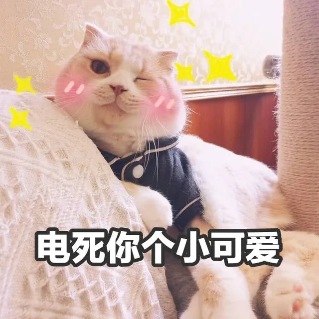 电死你个小可爱（电死你个小可爱）