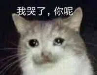 我哭了，你呢（我哭了，你呢）