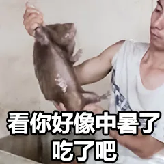 看你好像中暑了，吃了吧（看你好像中暑了，吃了吧）