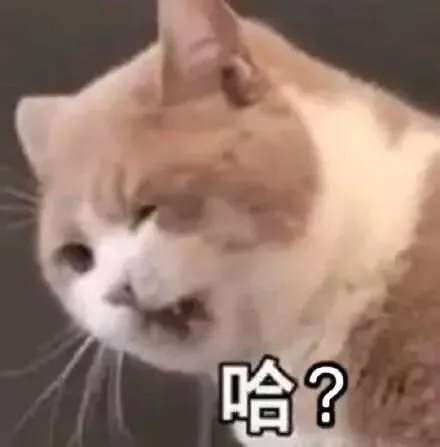 哈（哈）
