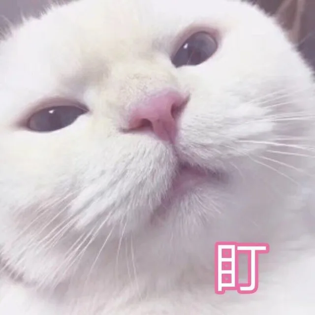 盯（盯）