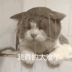 我真的大难了（我真的大难了）