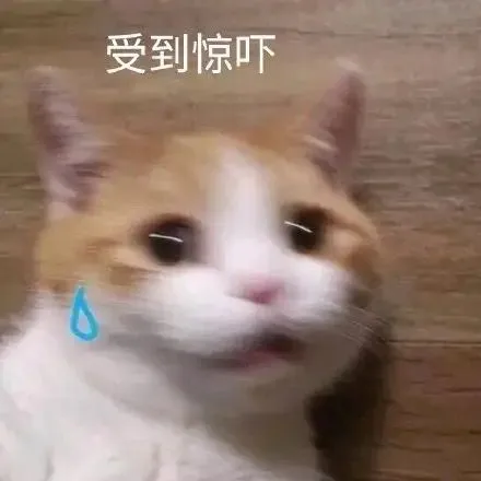 受到惊吓（受到惊吓）