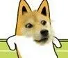 doge搞高姿势（doge搞高姿势）