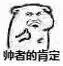 帅者的肯定（帅者的肯定）