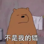 不是我的错！（不是我的错！）