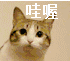 哇喔（哇喔）