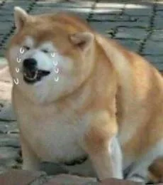 哇，一下就哭了（哇，一下就哭了）