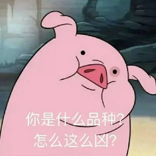 你是么品种怎么这么区？（你是么品种怎么这么区？）