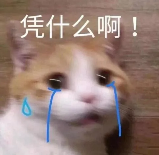 凭什么啊！（凭什么啊！）