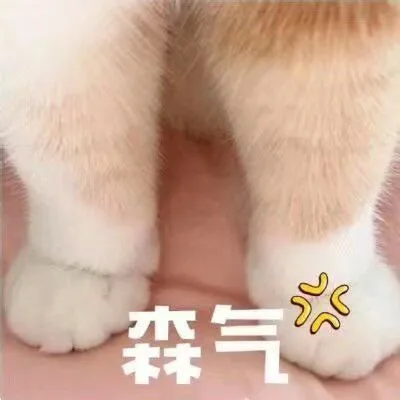 森气（森气）