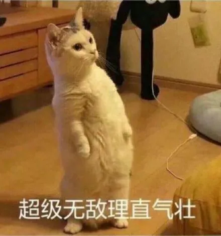 超级无敌理直气壮（超级无敌理直气壮）