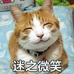 迷之微笑（迷之微笑）