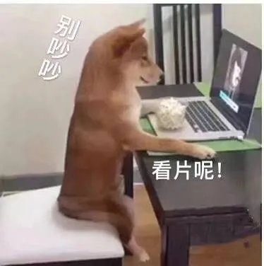别吵吵看片呢！（别吵吵看片呢！）