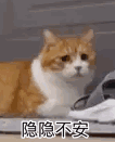 隐隐不安（隐隐不安）