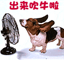 出来吹牛啦（出来吹牛啦）