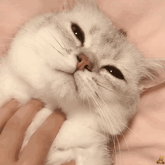 睁眼了（睁眼了）