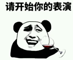 请开始你的表演（请开始你的表演）