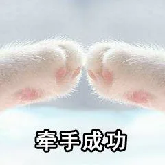 牵手成功（牵手成功）