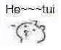 he tui（he tui）