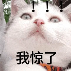 我惊了（我惊了）