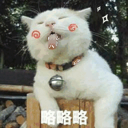 略略略（略略略）
