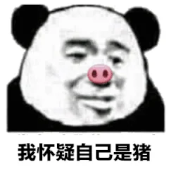 我怀疑自己是猪（我怀疑自己是猪）
