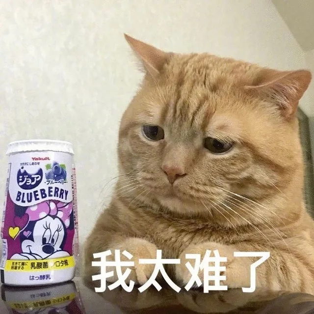 我太难了（我太难了）