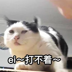 打不着（打不着）