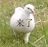 来了（来了）