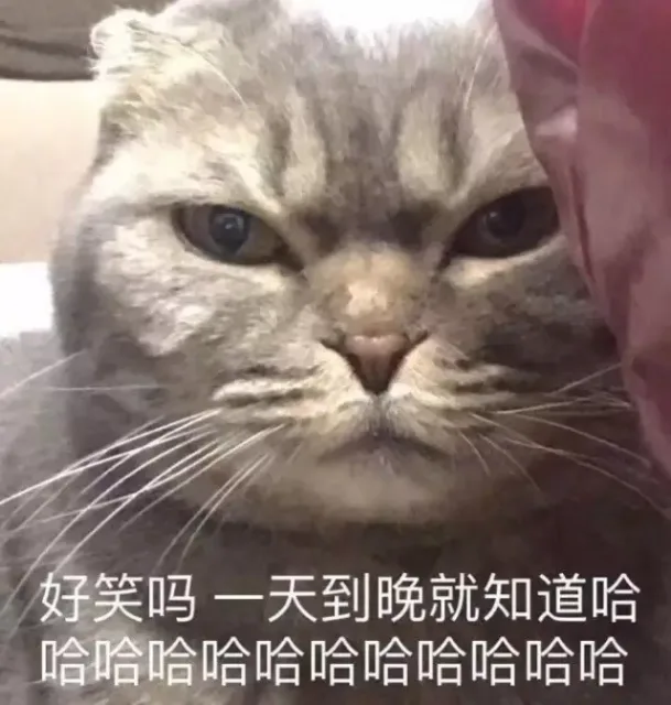 好笑吗？一天到晚就知道哈哈哈哈哈哈哈哈（好笑吗？一天到晚就知道哈哈哈哈哈哈哈哈）