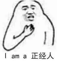 i am a正经人（i am a正经人）
