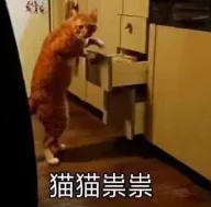 猫猫祟祟（猫猫祟祟）
