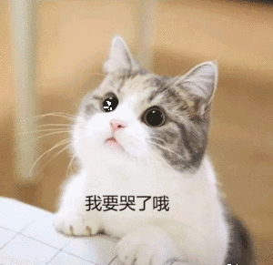 我要哭了哦（我要哭了哦）