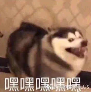 嘿嘿嘿嘿（嘿嘿嘿嘿）