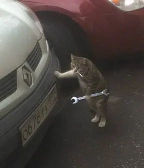 小猫修车（小猫修车）