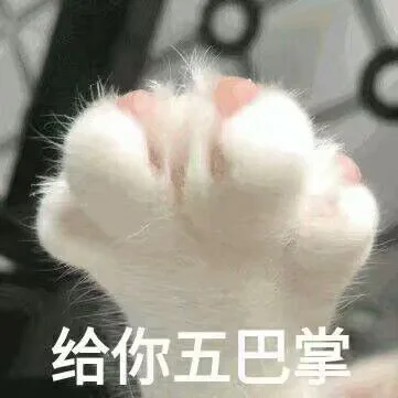 给你五巴掌（给你五巴掌）