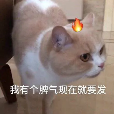 我有个脾气，现在就要发（我有个脾气，现在就要发）