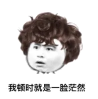 我顿时就是一脸茫然（我顿时就是一脸茫然）