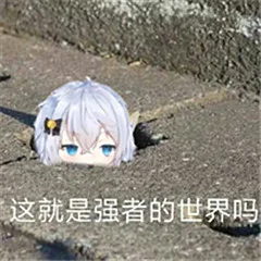 这就是强者的世界吗（这就是强者的世界吗）