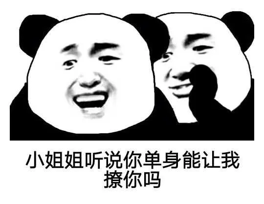 小姐姐听说你单身我能撩你吗（小姐姐听说你单身我能撩你吗）