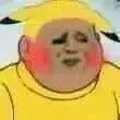 胖虎皮卡丘（胖虎皮卡丘）