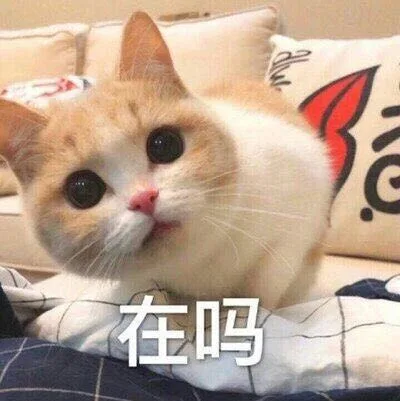 淹吗（淹吗）