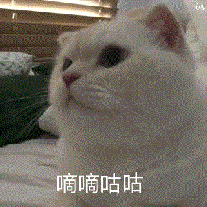 嘀嘀咕咕（嘀嘀咕咕）