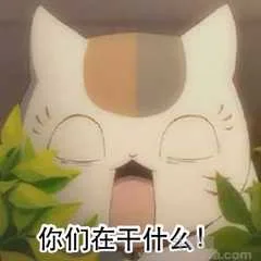你们在干什么!（你们在干什么!）
