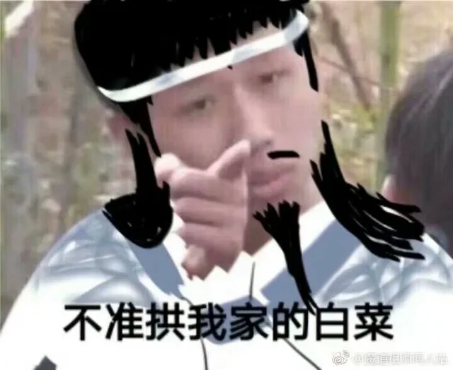不准拱我家白菜（不准拱我家白菜）